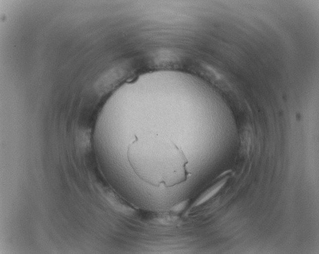 X0000065960278200603172032