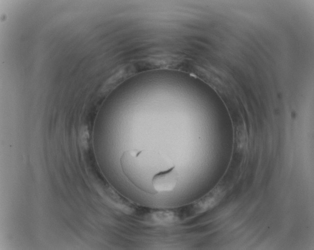 X0000065960279200603172032