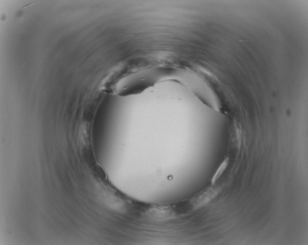 X0000065960280200603172032