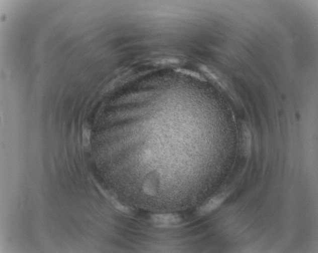 X0000065960281200603172032