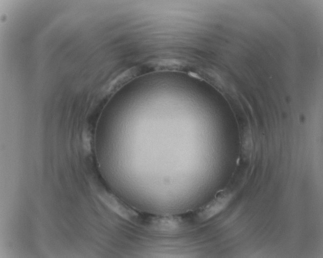 X0000065960282200603172032