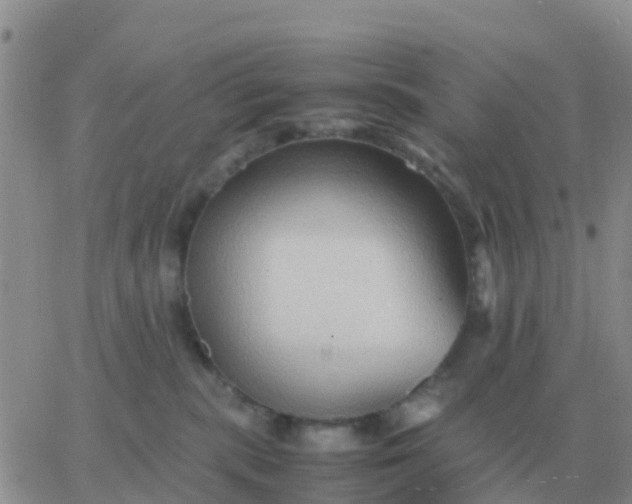 X0000065960283200603172032