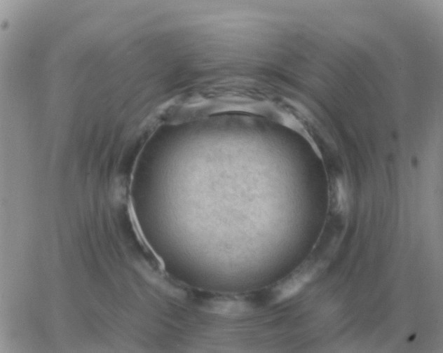 X0000065960284200603172032