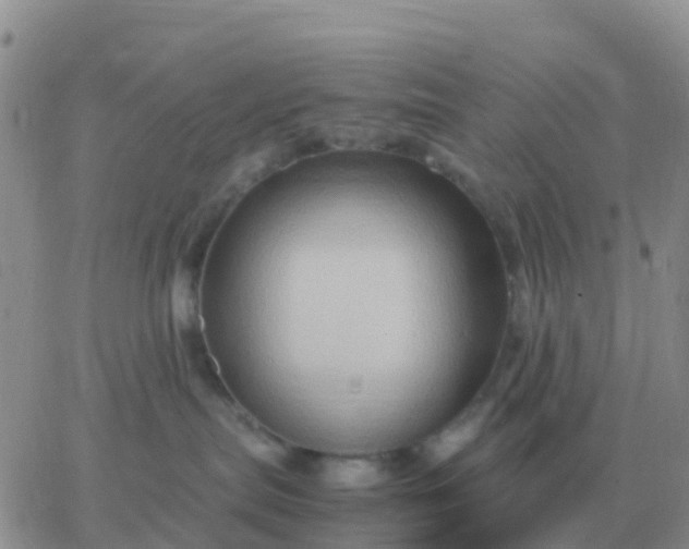 X0000065960287200603172032