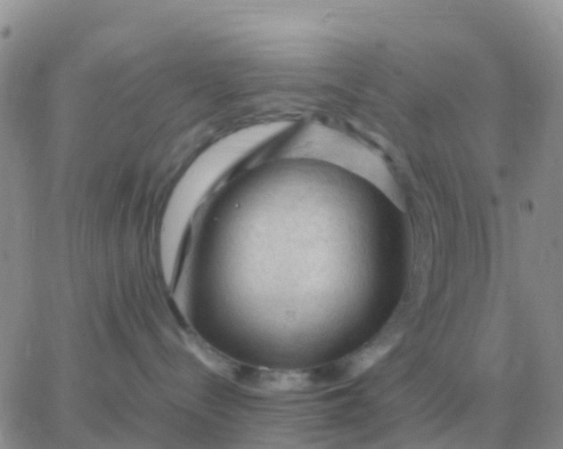 X0000065960288200603172032