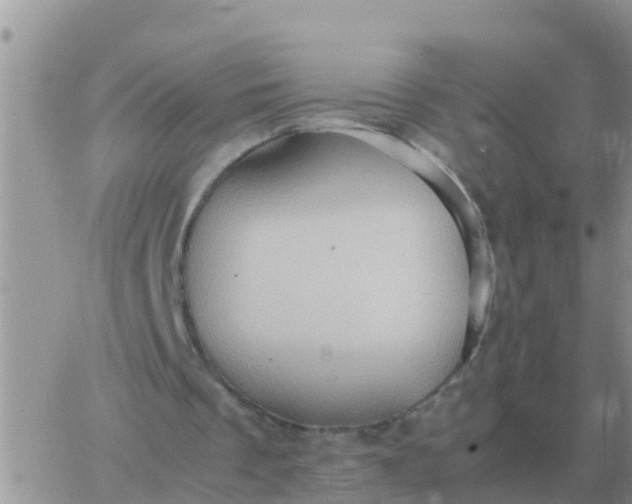 X0000065960289200603172031