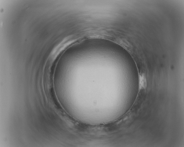 X0000065960291200603172031