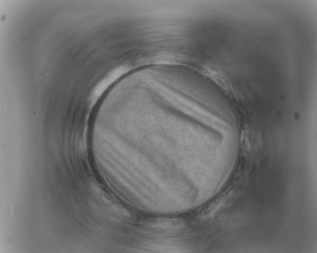 X0000065960292200603172031