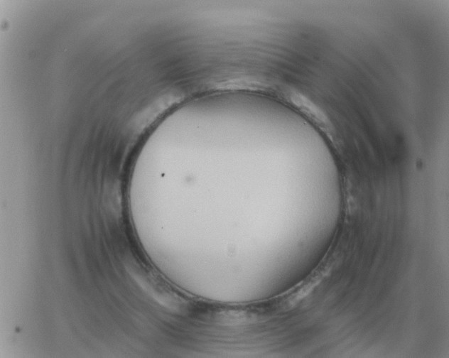 X0000065960298200603172031