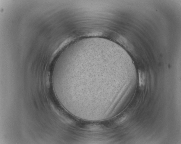 X0000065960300200603172031