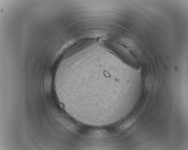 X0000065960304200603172031