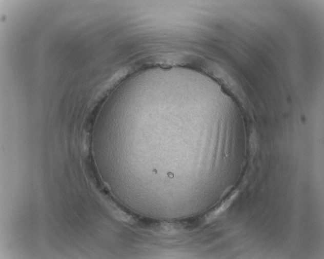 X0000065960305200603172031