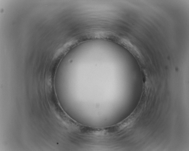 X0000065960306200603172031