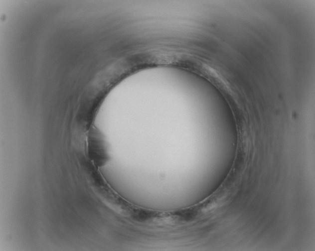 X0000065960307200603172031