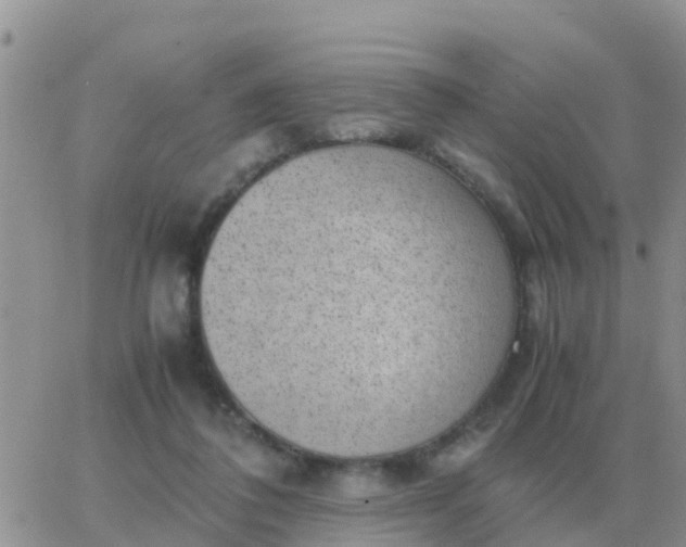 X0000065960308200603172031