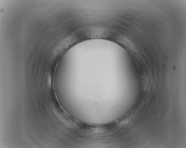 X0000065960310200603172031