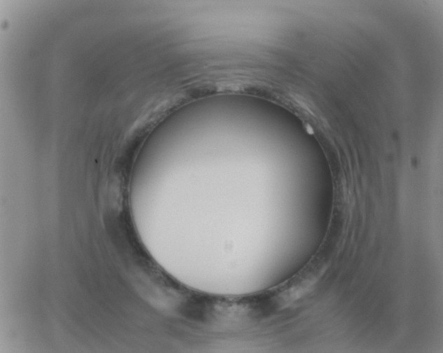 X0000065960311200603172031