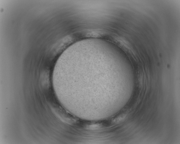 X0000065960312200603172031