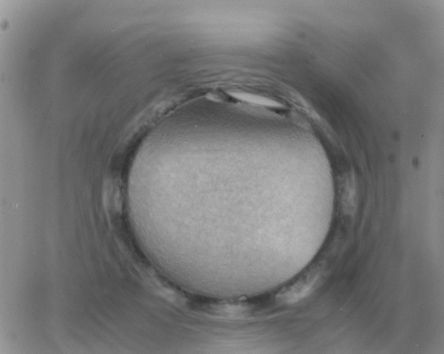 X0000065960313200603172031