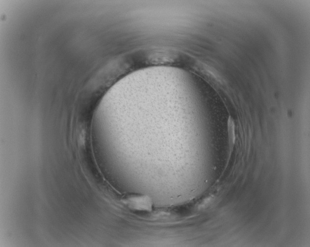 X0000065960315200603172031