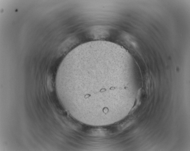 X0000065960316200603172031