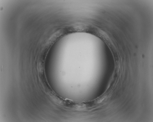 X0000065960317200603172031