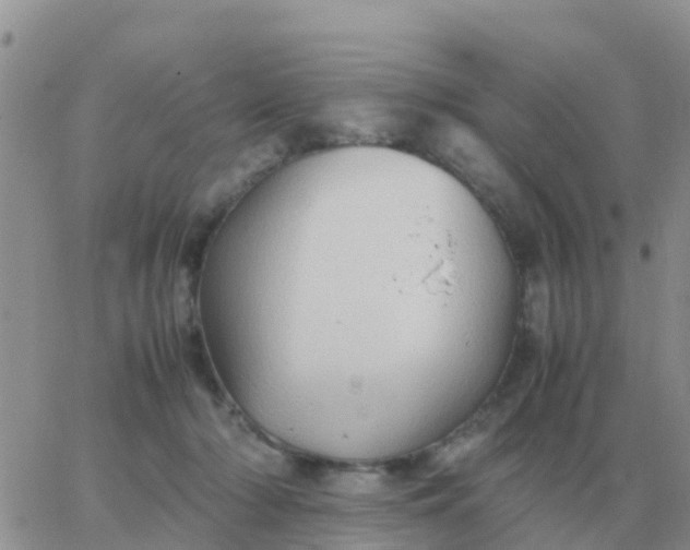 X0000065960318200603172031