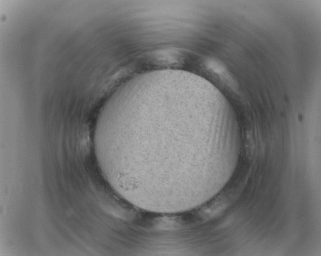 X0000065960320200603172031