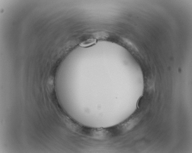 X0000065960321200603172031