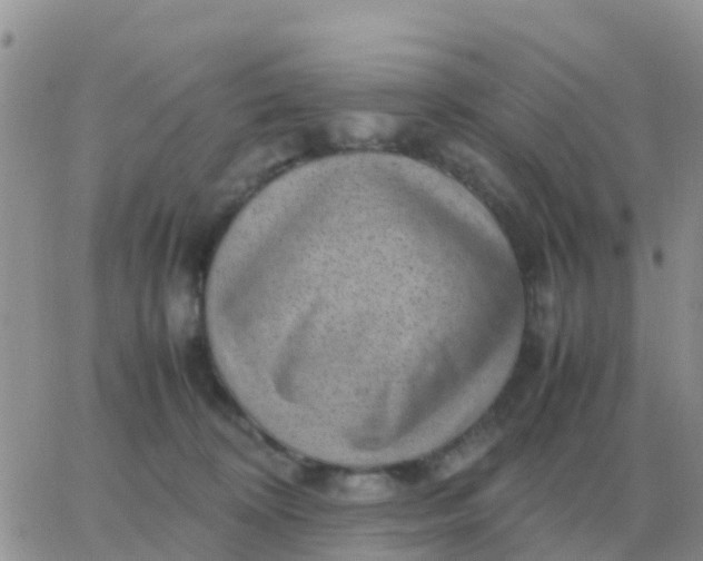 X0000065960324200603172031