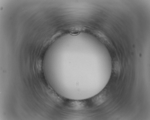 X0000065960326200603172031