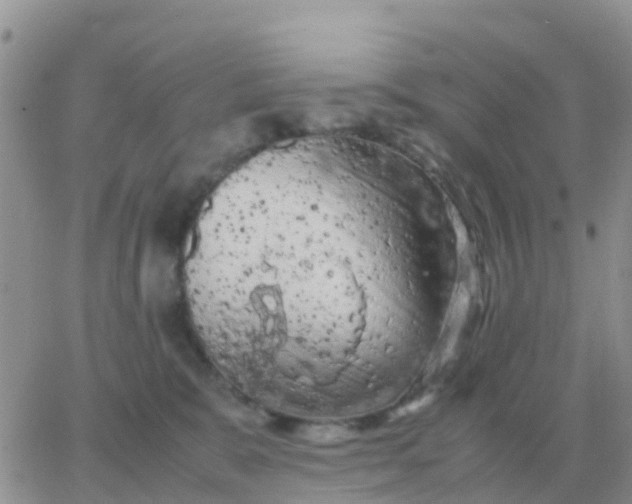 X0000065960327200603172031