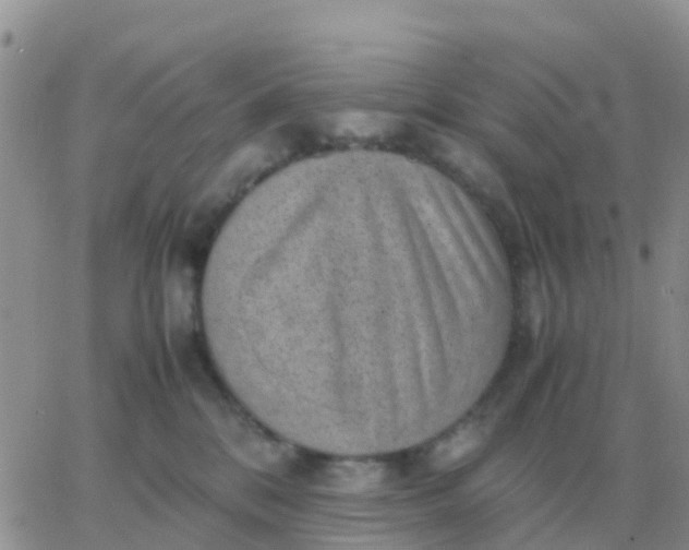 X0000065960328200603172031