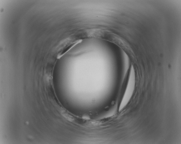 X0000065960329200603172031