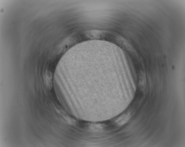 X0000065960332200603172031