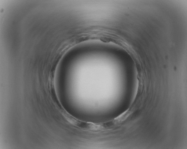 X0000065960333200603172031