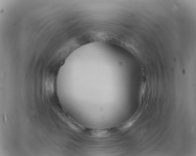 X0000065960334200603172031