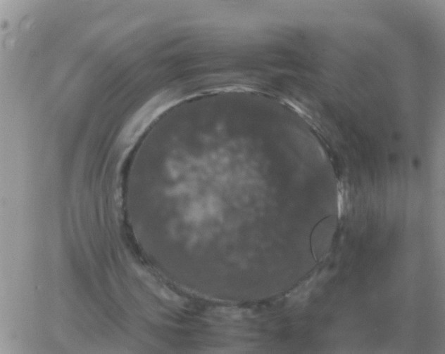 X0000065960339200603172030