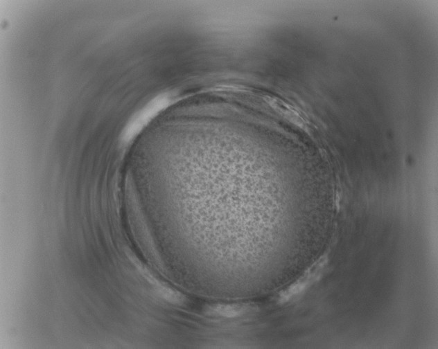 X0000065960341200603172030