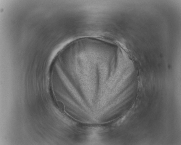 X0000065960342200603172030