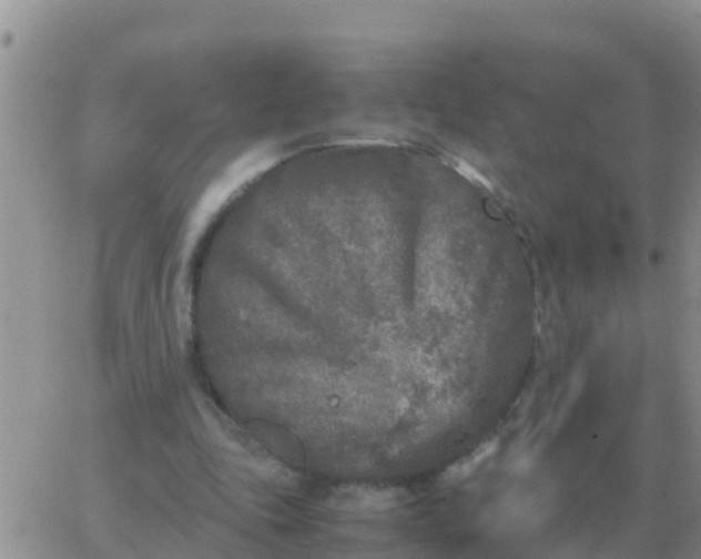 X0000065960343200603172030