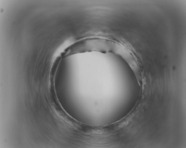 X0000065960344200603172030