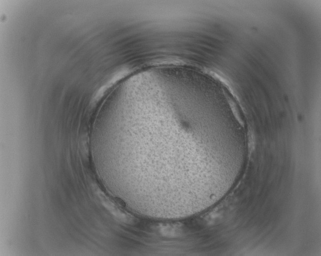 X0000065960345200603172030