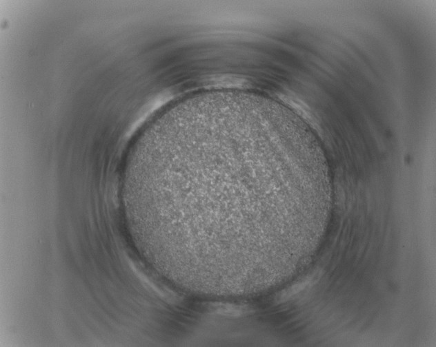 X0000065960347200603172030