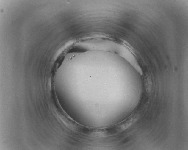 X0000065960350200603172030