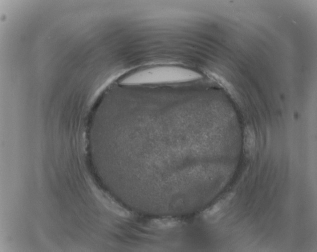 X0000065960351200603172030