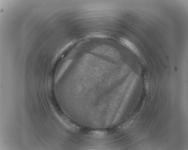 X0000065960352200603172030