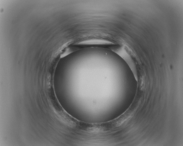 X0000065960356200603172030