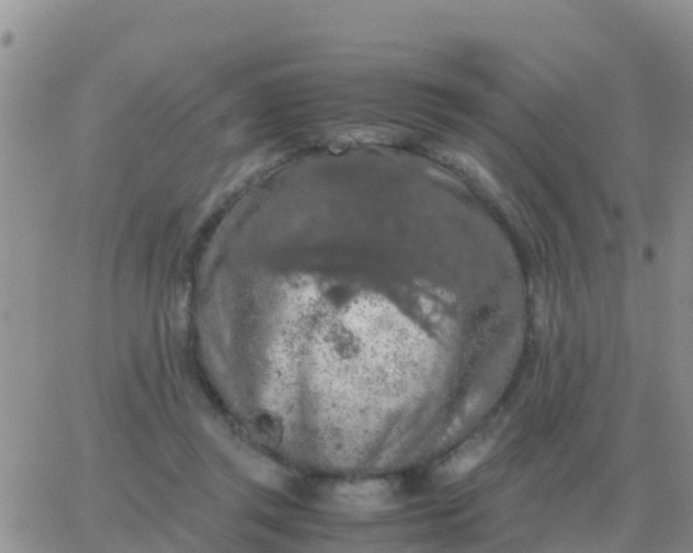 X0000065960357200603172030