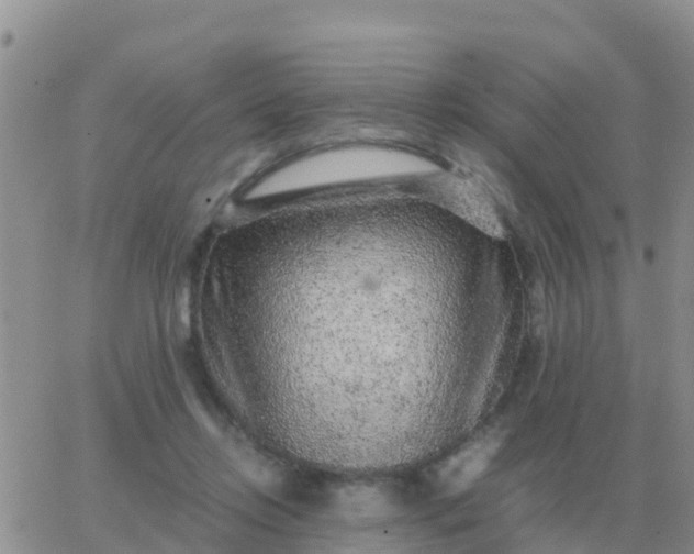 X0000065960358200603172030